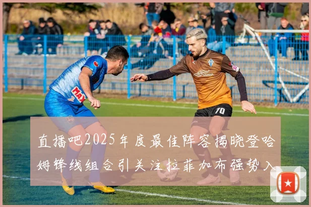 直播吧2025年度最佳阵容揭晓登哈姆锋线组合引关注拉菲加布强势入选
