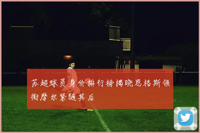 苏超球员身价排行榜揭晓恩格斯领衔摩尔紧随其后